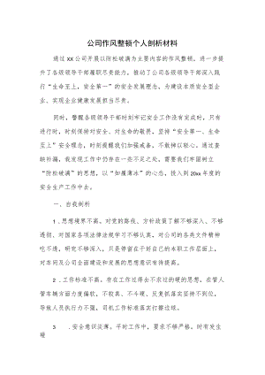 公司作风整顿个人剖析材料.docx