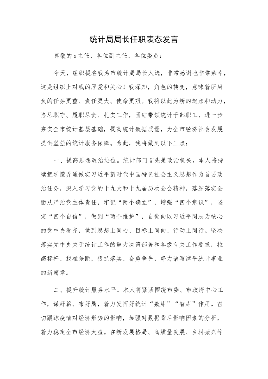 统计局局长任职表态发言.docx_第1页