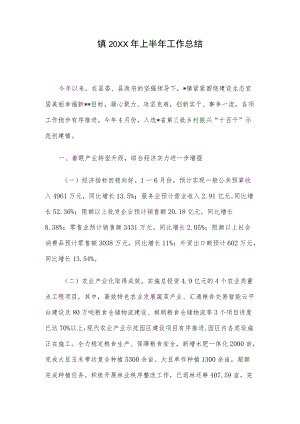 镇2022上半工作总结.docx