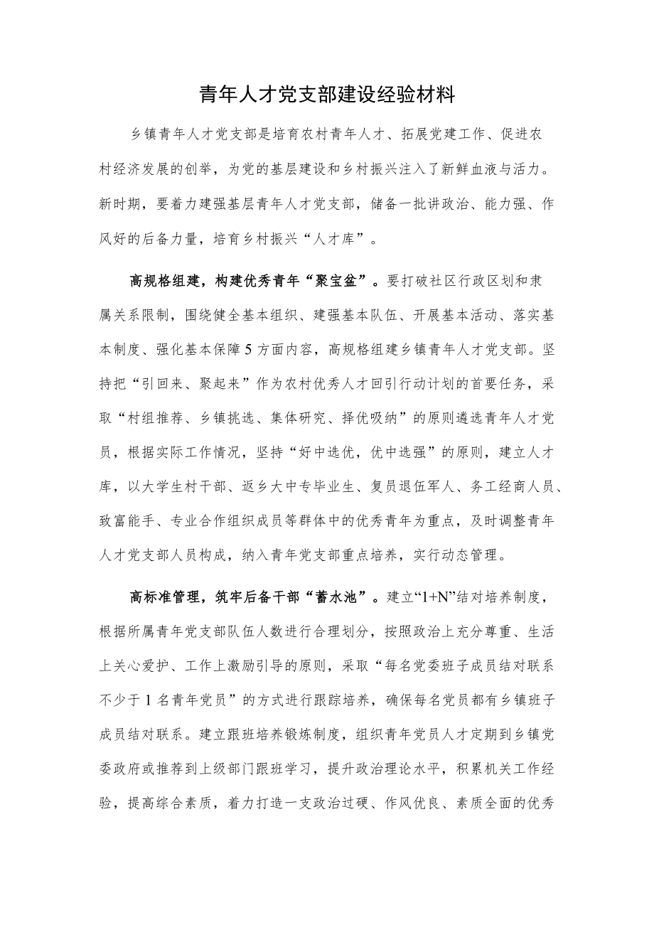 青人才党支部建设经验材料.docx_第1页