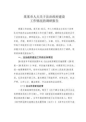 某某市人大关于法治政府建设工作情况的调研报告.docx