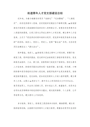 街道青人才党支部建设总结.docx