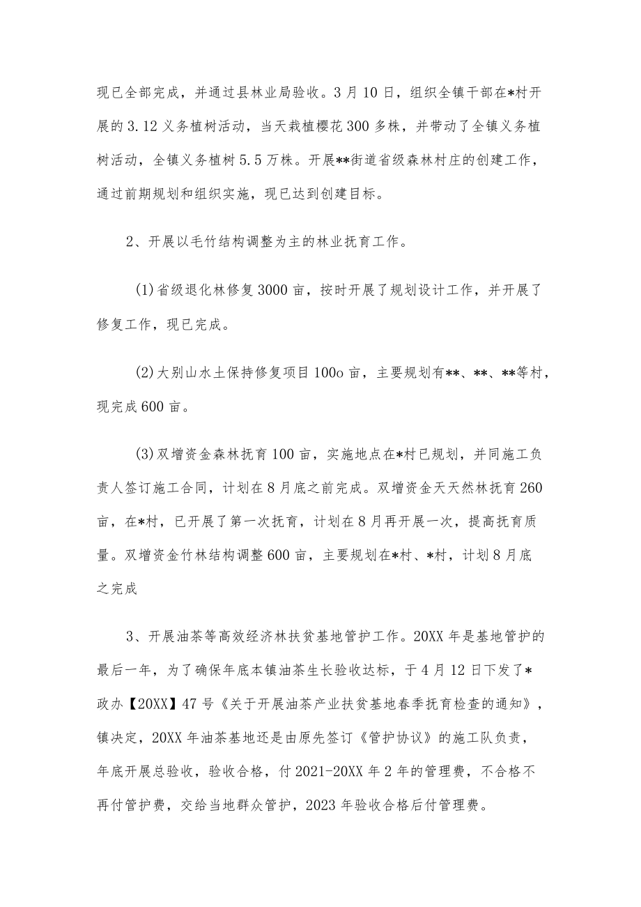 镇2022上半林长制工作总结.docx_第2页