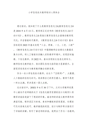 小学信息技术教师培训心得体会.docx