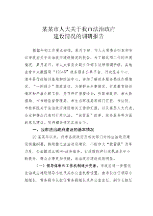 某某市人大关于我市法治政府建设情况的调研报告.docx