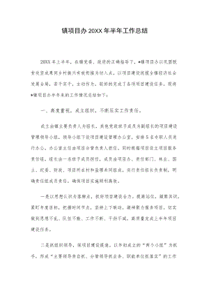 镇项目办2022半工作总结.docx