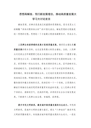 思想再解放、笃行新发展理念推动高质量发展大学习大讨论发言.docx