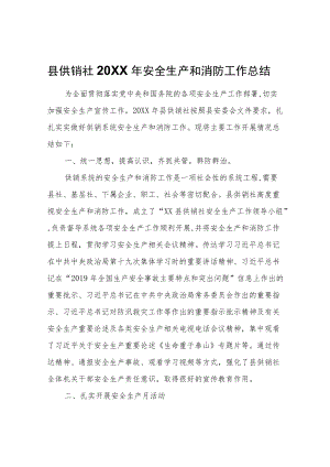 县供销社2020安全生产和消防工作总结.docx