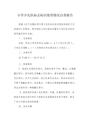 小学少先队标志标识使用情况自查报告.docx