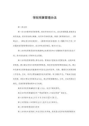 学院预算管理办法.docx