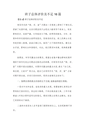 班子总体评价及不足16篇.docx