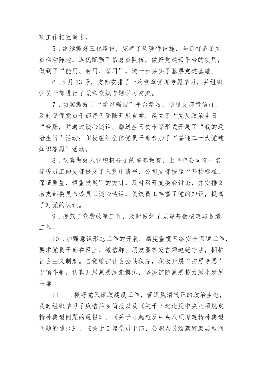 3篇公司企业党支部2022上半从严治党党建工作总结报告.docx_第2页