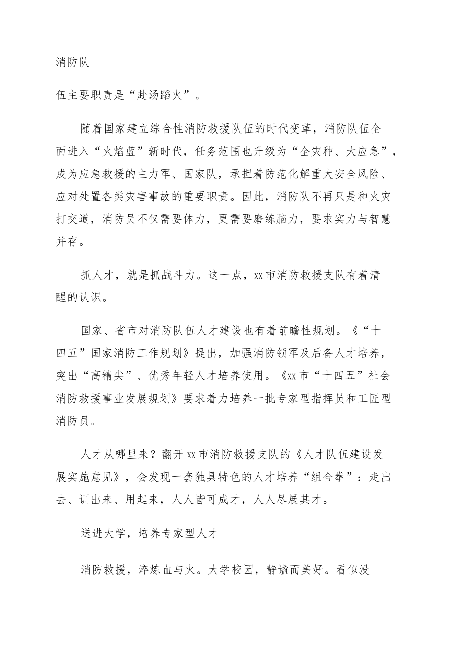 消防救援支队人才队伍建设工作综述.docx_第2页