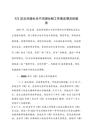 XX区总河湖长关于河湖长制工作落实情况的报告.docx