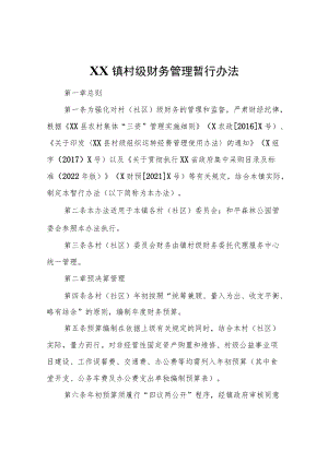 XX镇村级财务管理暂行办法.docx