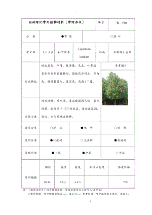 常绿乔木生态习性.doc