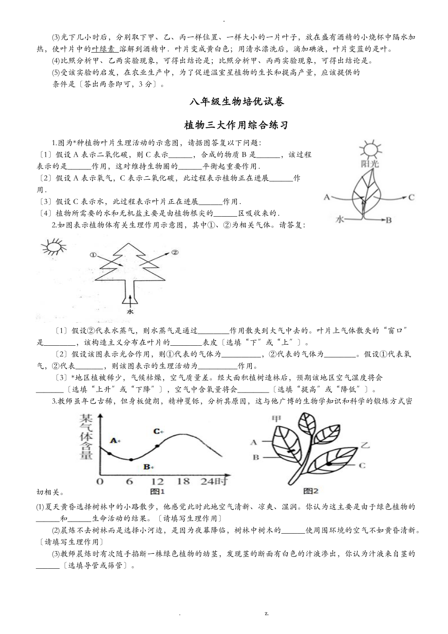 植物光合作用训练习题.doc_第3页