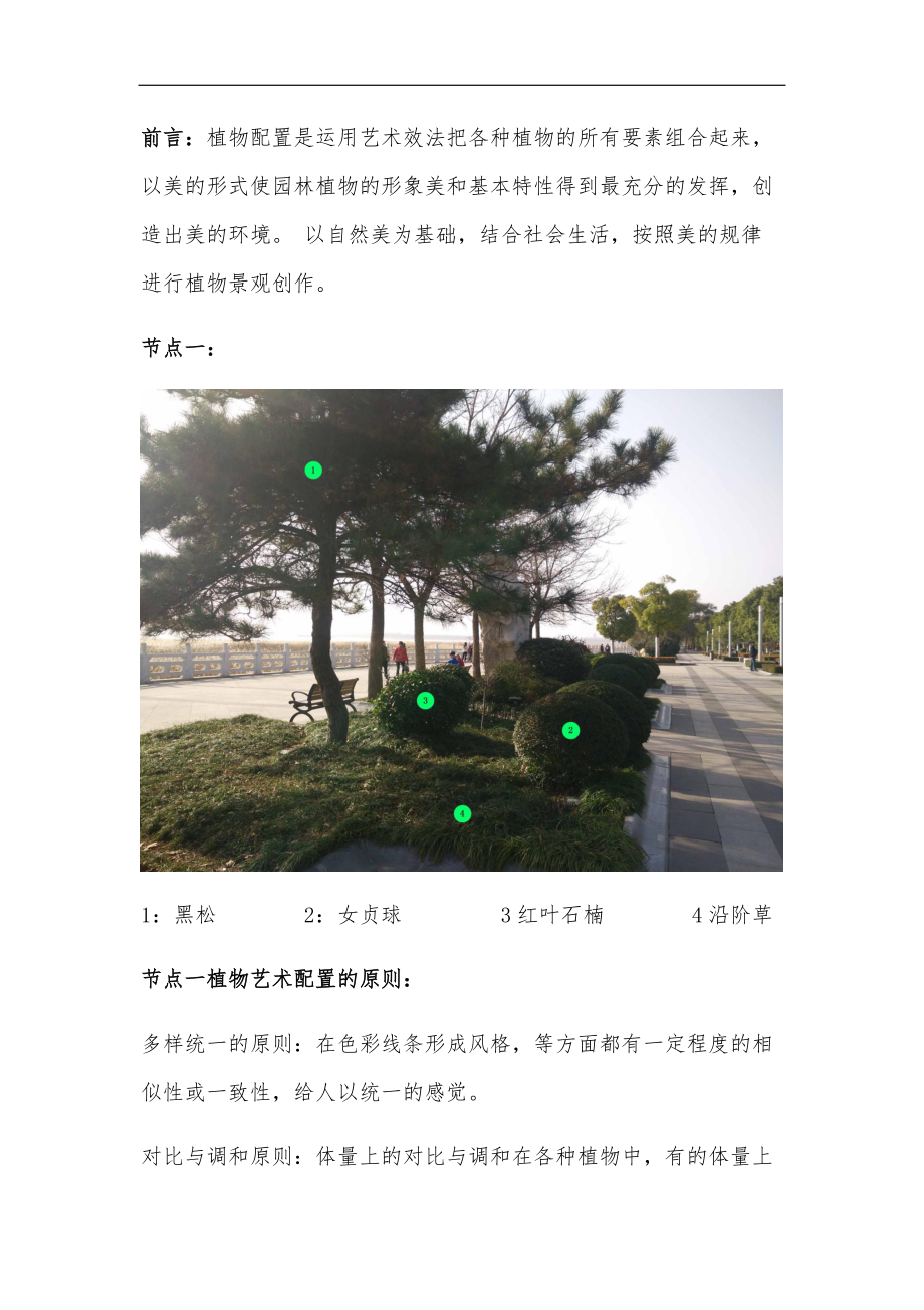 植物配置案例分析报告.docx_第1页