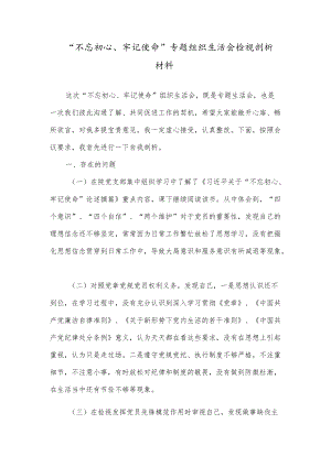 “不忘初心、牢记使命”专题组织生活会检视剖析材料.docx