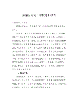 某某区总河长述职报告.docx