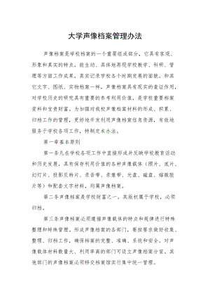 大学声像档案管理办法.docx