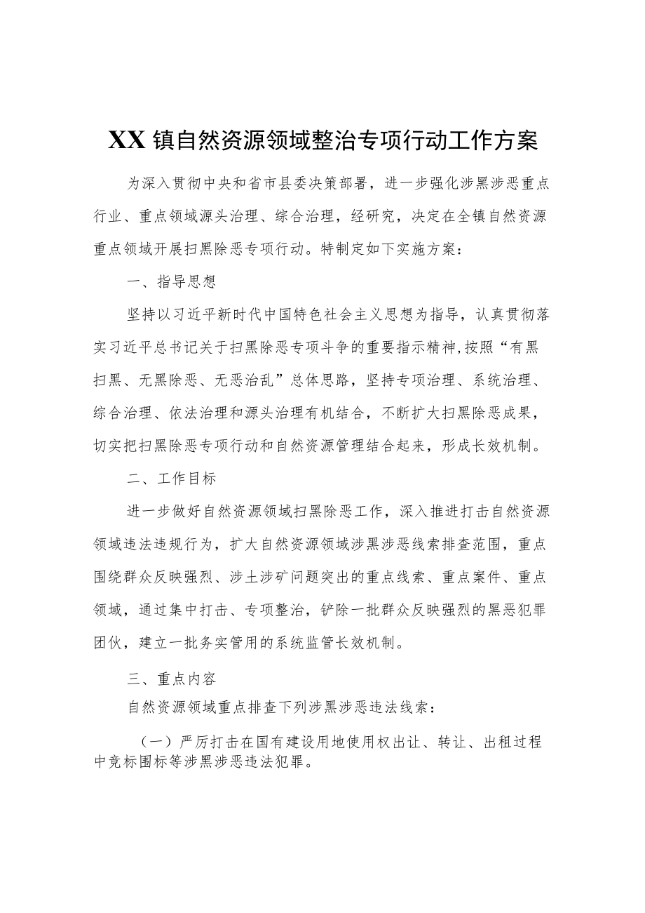 镇自然资源领域整治专项行动工作方案.docx_第1页