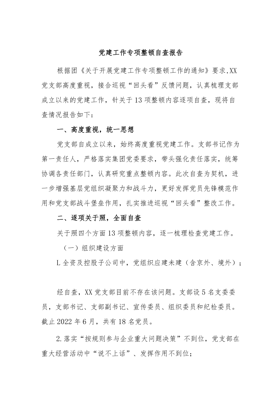 党建工作专项整治自查报告.docx_第1页