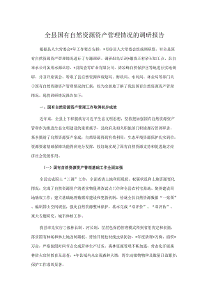 全县国有自然资源资产管理情况的调研报告.docx