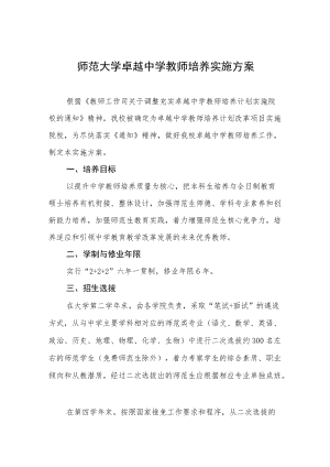 师范大学卓越中学教师培养实施方案.docx