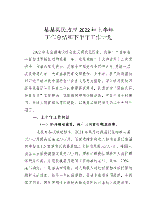 某某县民政局2022上半工作总结和下半工作计划.docx