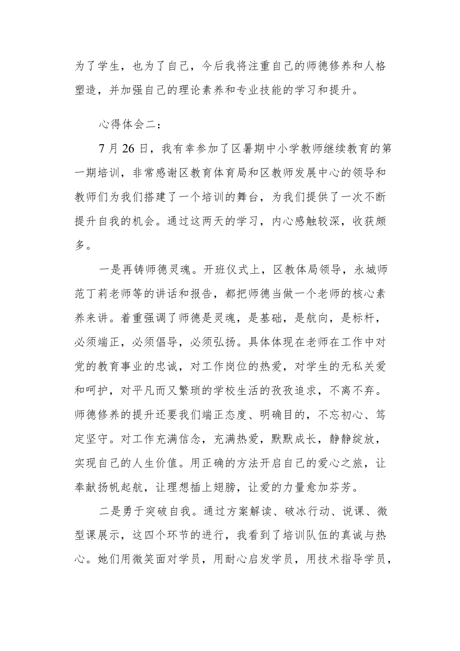 小学教师继续教育培训心得体会.docx_第2页