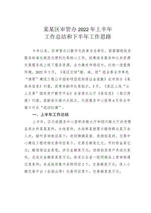 某某区审管办2022上半工作总结和下半工作思路.docx