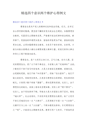 精选四个意识两个维护心得例文.docx