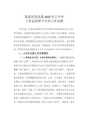 某某区发改委2022上半工作总结和下半工作安排.docx