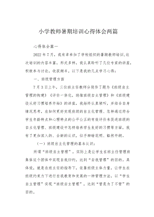 小学教师暑期培训心得体会两篇.docx