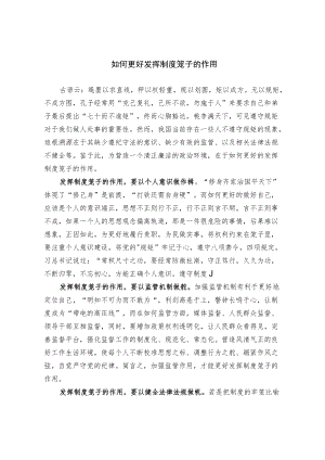 如何更好发挥制度笼子的作用.docx