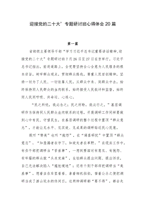 迎接党的二十大专题研讨班重要讲话心得体会20篇.docx