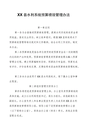 XX县水利系统预算绩效管理办法.docx