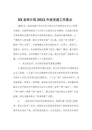 XX县审计局2022党建工作要点.docx