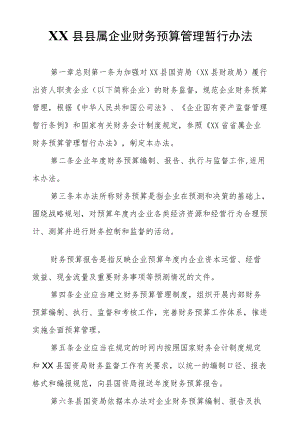 XX县县属企业财务预算管理暂行办法.docx