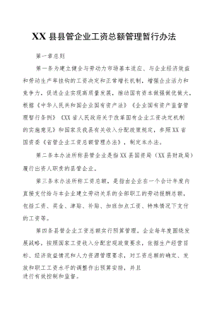 XX县县管企业工资总额管理暂行办法.docx