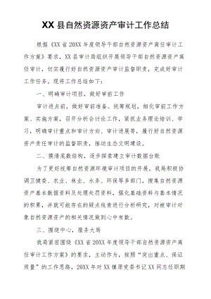 XX县自然资源资产审计工作总结.docx