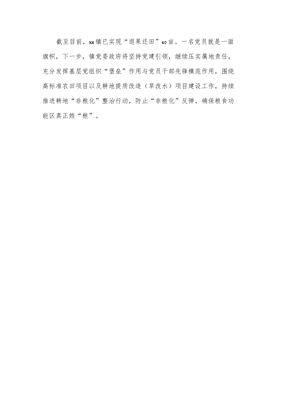 xx镇耕地保护经验材料.docx_第3页