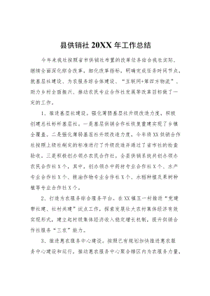 县供销社2021工作总结.docx