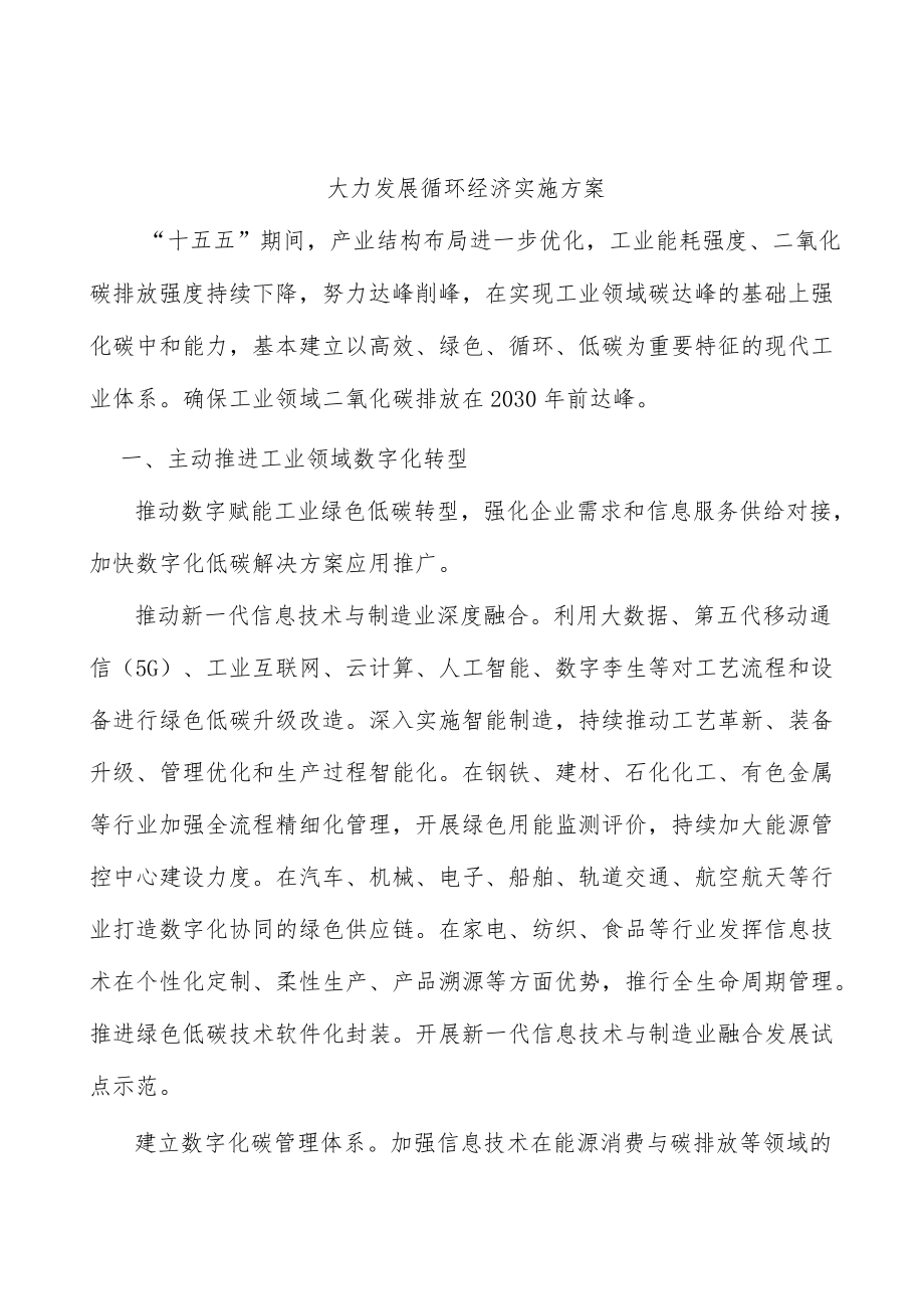 大力发展循环经济实施方案.docx_第1页