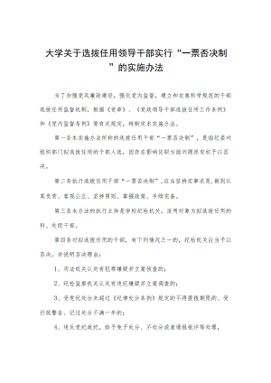 大学关于选拔任用领导干部实行“一票否决制“的实施办法.docx