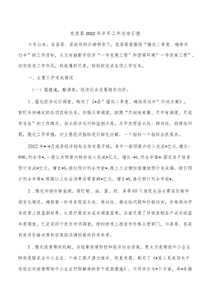 发改委2022半工作总结汇报.docx