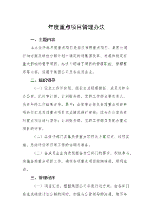 重点项目管理办法.docx