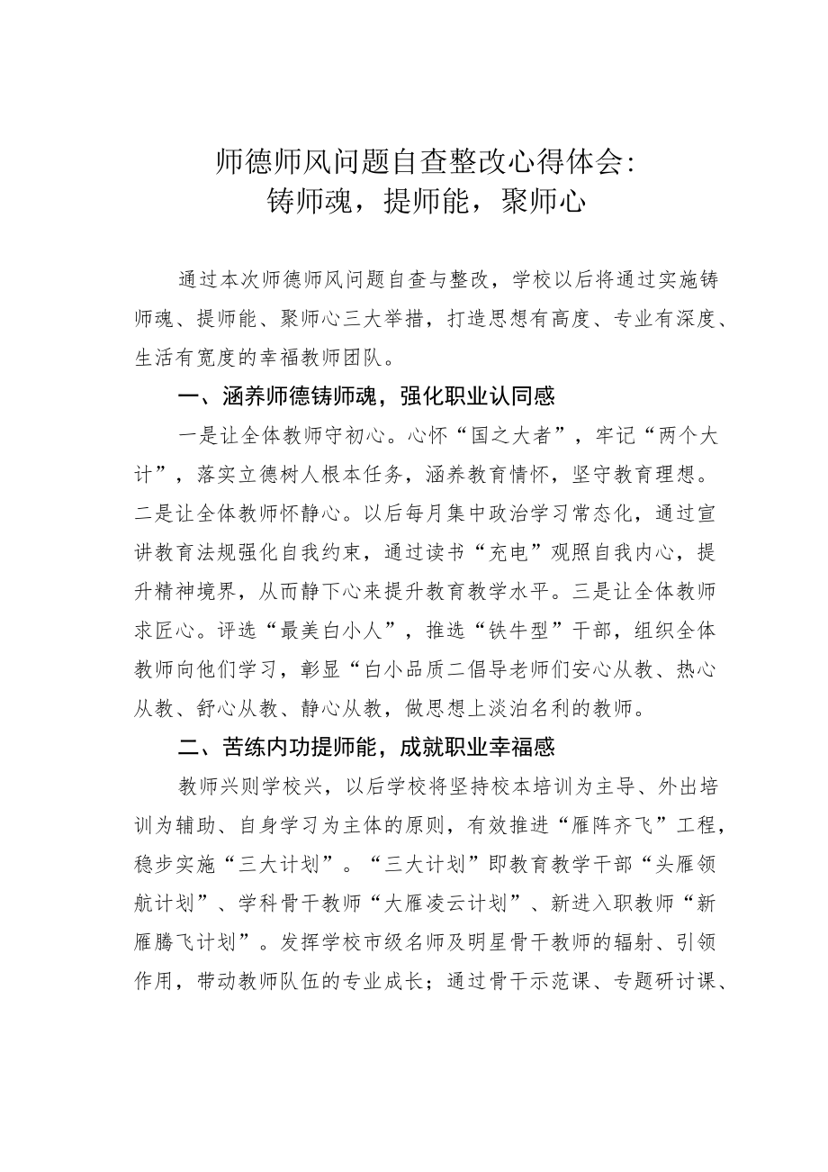 师德师风问题自查整改心得体会：铸师魂提师能聚师心.docx_第1页