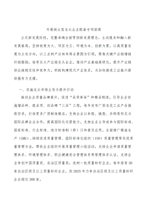 开展链主型龙头企业配套专项招商.docx